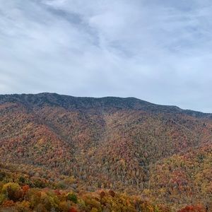 Meet your Posher, Jon